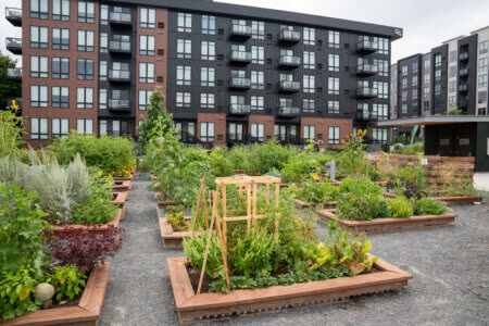 Community garden beds at Bridal Veil Gardens with apartments behind
