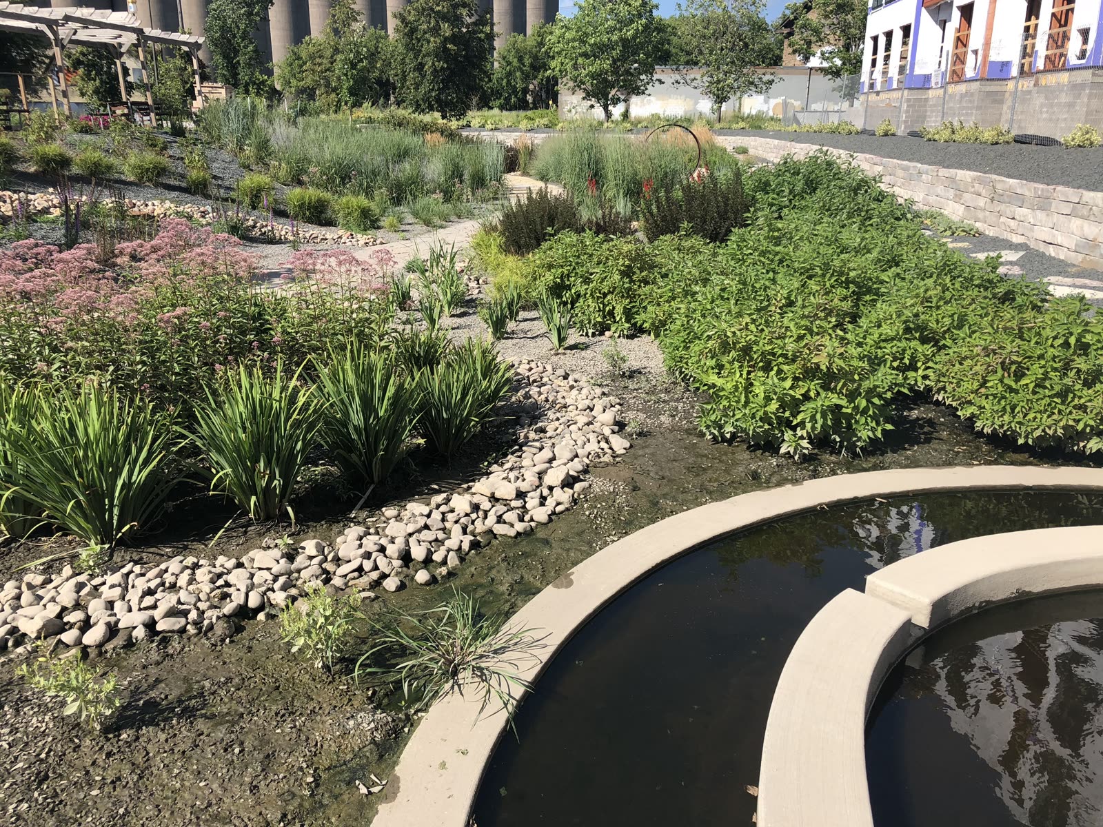 Biofiltration basin of the Towerside stormwater system